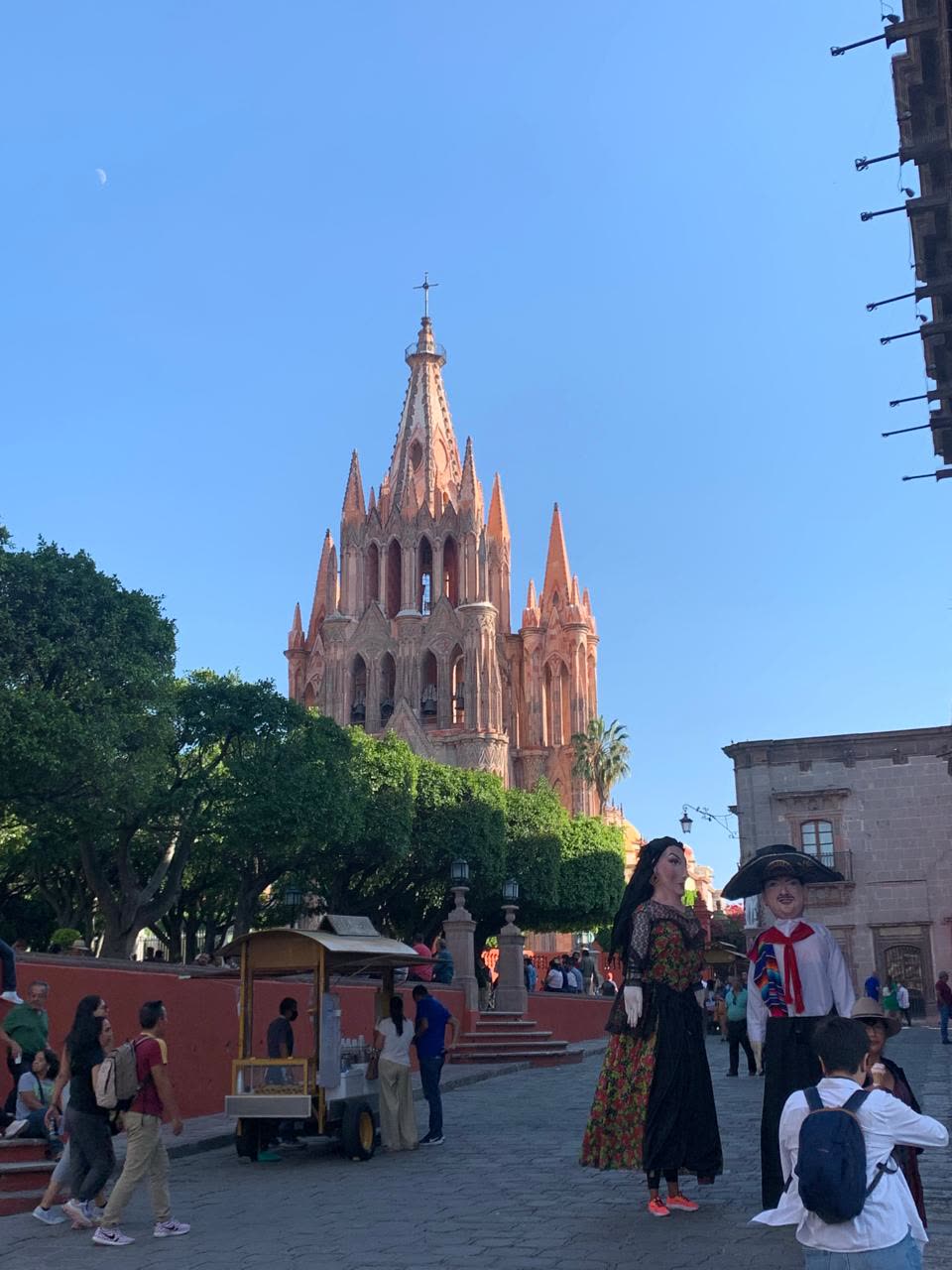 Grand Catholic Pilgrimage to Our Lady of Guadalupe